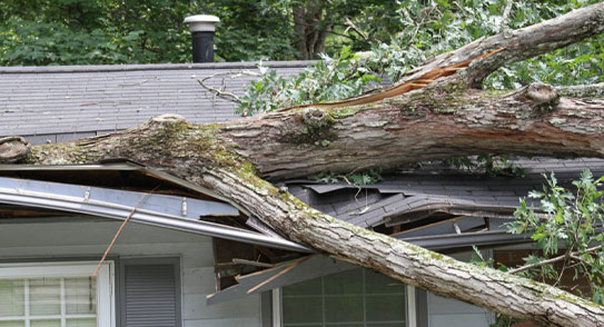 Storm Damage Restoration