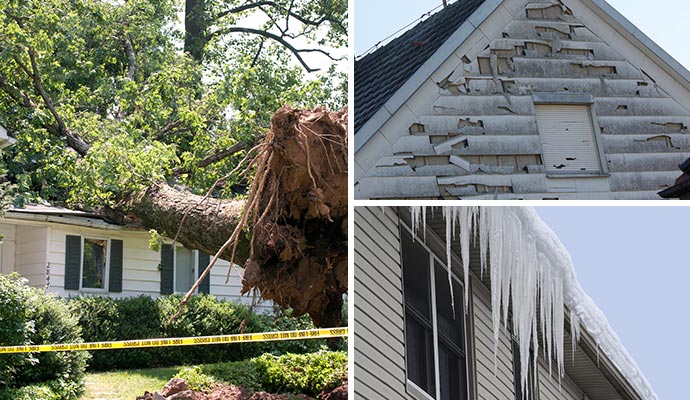 Collage of wind damage, tree collapse and ice damming roof