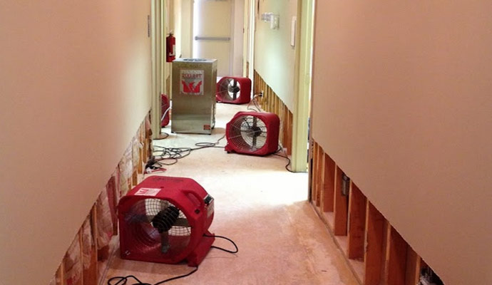 Structural & Contents Drying