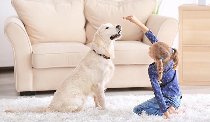 Children playing with pet inside house