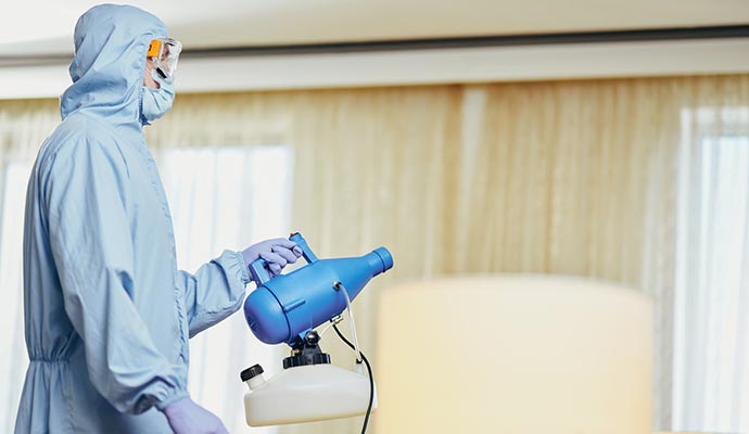 Professional expert removing smoke odor