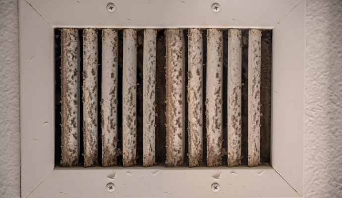 Contaminated HVAC system with visible mold