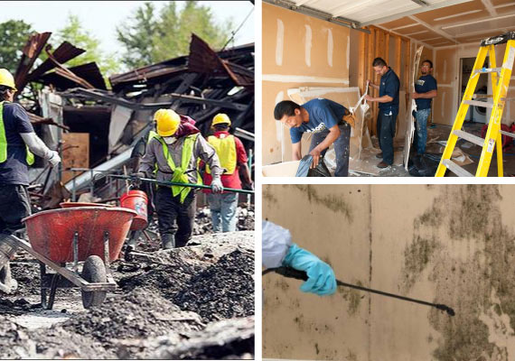 beneficial cleaning dalworth clean