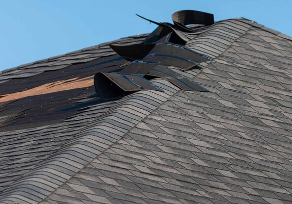 Wind Damaged Roof