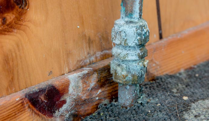 Mold growth after appliance leak